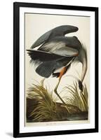 Great Blue Heron-John James Audubon-Framed Giclee Print