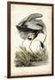 Great Blue Heron-John James Audubon-Framed Art Print