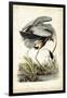 Great Blue Heron-John James Audubon-Framed Art Print