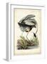 Great Blue Heron-John James Audubon-Framed Art Print