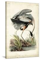 Great Blue Heron-John James Audubon-Stretched Canvas