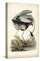 Great Blue Heron-John James Audubon-Stretched Canvas