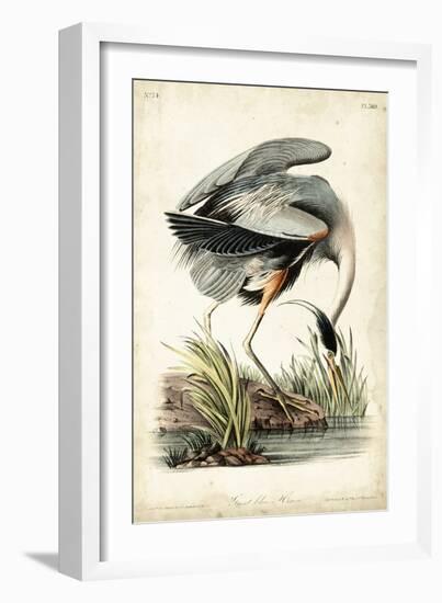 Great Blue Heron-John James Audubon-Framed Art Print