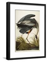 Great Blue Heron-John James Audubon-Framed Giclee Print