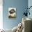 Great Blue Heron-John James Audubon-Premium Giclee Print displayed on a wall