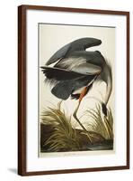 Great Blue Heron-John James Audubon-Framed Giclee Print