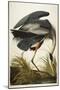 Great Blue Heron-John James Audubon-Mounted Premium Giclee Print
