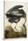 Great Blue Heron-John James Audubon-Stretched Canvas