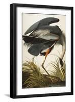 Great Blue Heron-John James Audubon-Framed Giclee Print