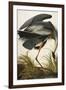 Great Blue Heron-John James Audubon-Framed Giclee Print