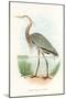 Great Blue Heron-null-Mounted Art Print