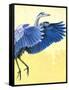 Great Blue Heron-Max Hayslette-Framed Stretched Canvas