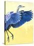 Great Blue Heron-Max Hayslette-Stretched Canvas