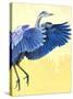 Great Blue Heron-Max Hayslette-Stretched Canvas