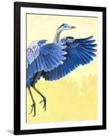 Great Blue Heron-Max Hayslette-Framed Giclee Print
