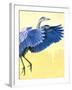 Great Blue Heron-Max Hayslette-Framed Giclee Print