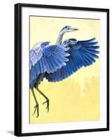 Great Blue Heron-Max Hayslette-Framed Giclee Print