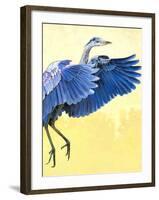 Great Blue Heron-Max Hayslette-Framed Giclee Print