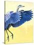 Great Blue Heron-Max Hayslette-Stretched Canvas