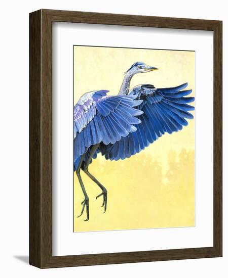 Great Blue Heron-Max Hayslette-Framed Giclee Print