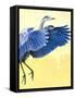 Great Blue Heron-Max Hayslette-Framed Stretched Canvas