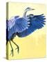 Great Blue Heron-Max Hayslette-Stretched Canvas