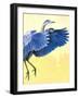 Great Blue Heron-Max Hayslette-Framed Giclee Print