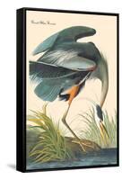 Great Blue Heron-John James Audubon-Framed Stretched Canvas