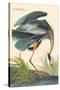 Great Blue Heron-John James Audubon-Stretched Canvas