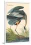 Great Blue Heron-John James Audubon-Framed Premium Giclee Print