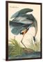 Great Blue Heron-John James Audubon-Framed Premium Giclee Print