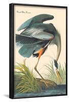 Great Blue Heron-John James Audubon-Framed Art Print