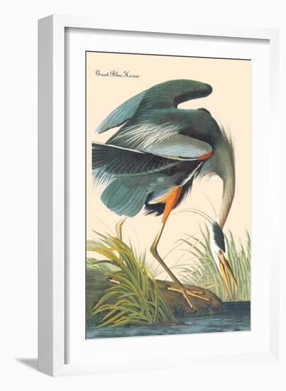 Great Blue Heron-John James Audubon-Framed Art Print