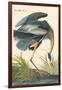 Great Blue Heron-John James Audubon-Framed Art Print