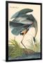 Great Blue Heron-John James Audubon-Framed Art Print