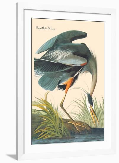 Great Blue Heron-John James Audubon-Framed Art Print