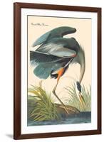 Great Blue Heron-John James Audubon-Framed Art Print