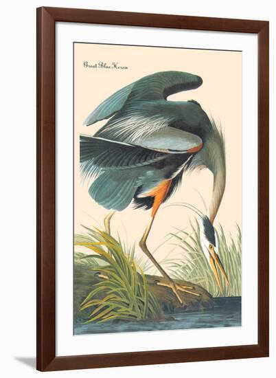 Great Blue Heron-John James Audubon-Framed Art Print