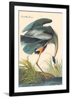 Great Blue Heron-John James Audubon-Framed Art Print