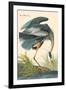 Great Blue Heron-John James Audubon-Framed Art Print