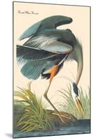 Great Blue Heron-John James Audubon-Mounted Art Print