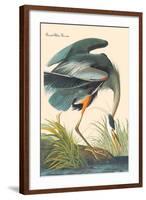 Great Blue Heron-John James Audubon-Framed Art Print