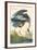 Great Blue Heron-John James Audubon-Framed Art Print