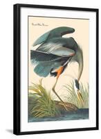 Great Blue Heron-John James Audubon-Framed Art Print