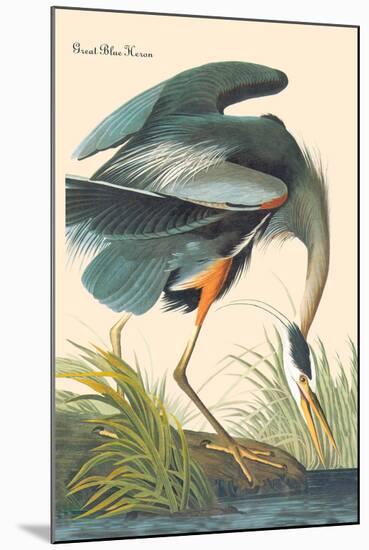 Great Blue Heron-John James Audubon-Mounted Art Print