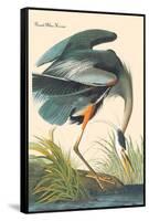 Great Blue Heron-John James Audubon-Framed Stretched Canvas