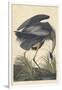 Great Blue Heron-John James Audubon-Framed Giclee Print