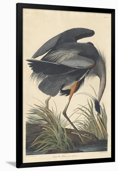 Great Blue Heron-John James Audubon-Framed Giclee Print