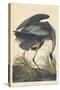 Great Blue Heron-John James Audubon-Stretched Canvas