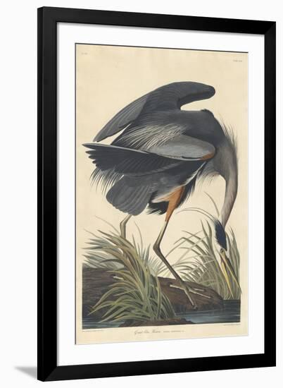 Great Blue Heron-John James Audubon-Framed Giclee Print